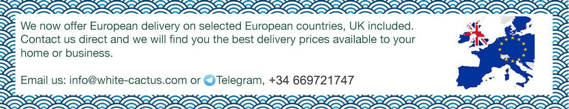 European Delivery Available